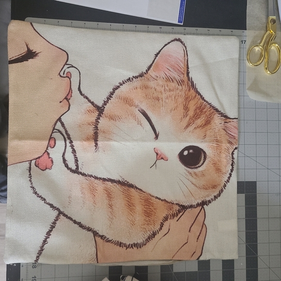Cat Pillow Covers no insert included choose 2 - Picture 5 of 5